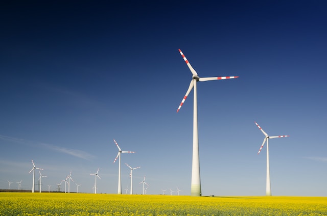 wind mill in wind farm