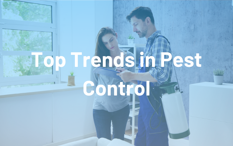 Top Trends in Pest Control